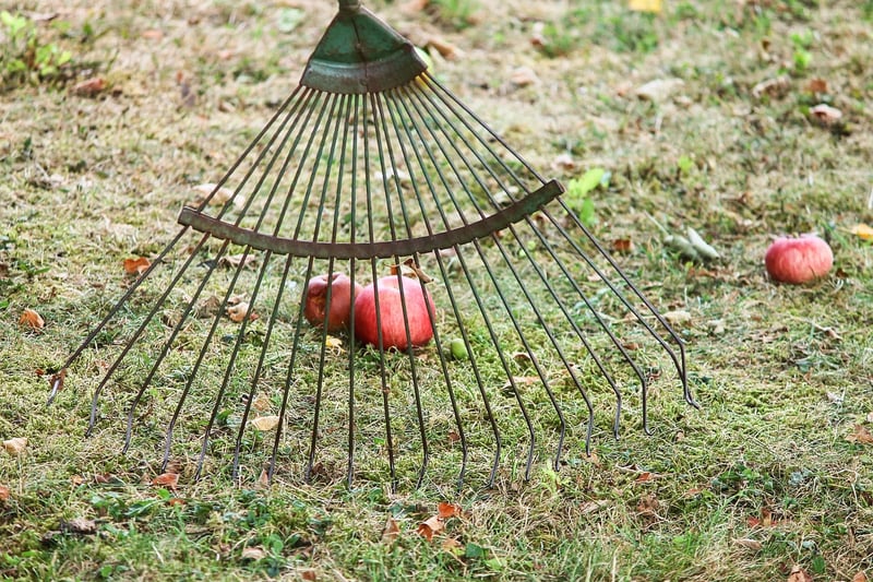 Garden Rake